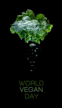 Fresh leafy green head of lettuce floating in clear clean water with trapped air bubbles over a black background. World food day, vegetarian day, Vegan day conceptの写真素材