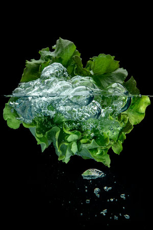 Fresh leafy green head of lettuce floating in clear clean water with trapped air bubbles over a black background in an above and below view conceptual of a healthy diet with copy spaceの写真素材