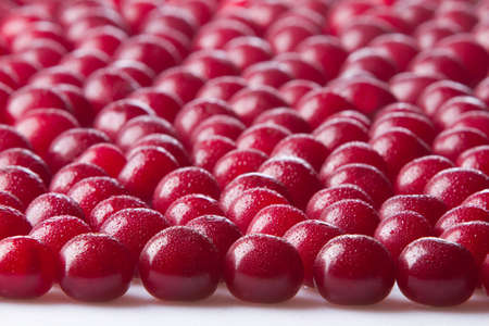 Cherries in drops of dewの写真素材