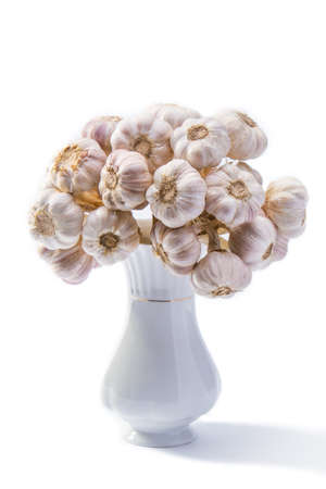 Garlic in a vaseの写真素材