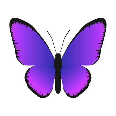 abstraction. vector illustration. Butterfly. Purple butterfly. Gradient. violetのイラスト素材