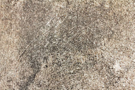 cement floorの写真素材