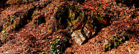 Landscape in Poiana Brasov Road to the winter and touristic station Poiana Brasov, 12 km from Brasov, a town situated in Transylvania, Romania, in the center of the country. 300.000 inhabitantsの写真素材