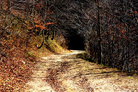 Landscape in Poiana Brasov Road to the winter and touristic station Poiana Brasov, 12 km from Brasov, a town situated in Transylvania, Romania, in the center of the country. 300.000 inhabitants.の写真素材