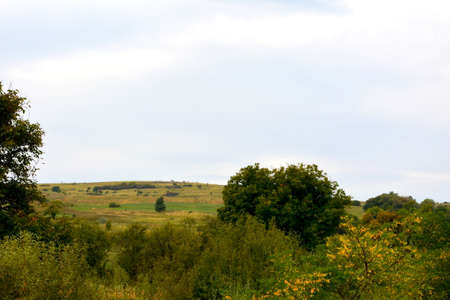 Typical rural landscape in the plains of Transylvania, Romania. Green landscape in the midsummer, in...