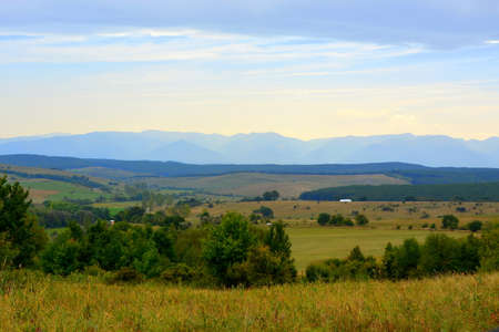 Typical rural landscape in the plains of Transylvania, Romania. Green landscape in the midsummer, in a sunny dayの写真素材