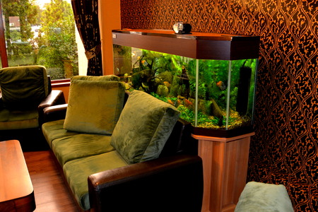 Hotel in Constanta. Constan?a historically known as Tomis, is the oldest continuously inhabited city in Romania. It was founded around 600 BC. The city is located in the Dobruja region of Romania, on the Black Sea coastのeditorial素材