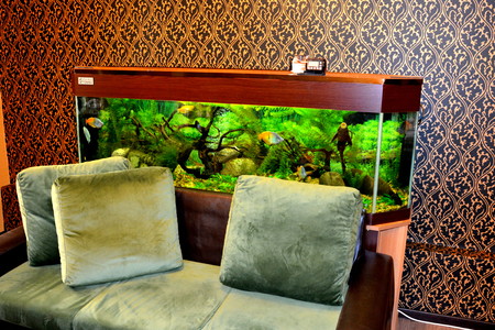 ConstanÈa historically known as Tomis, is the oldest continuously inhabited city in Romania. It was founded around 600 BC. The city is located in the Dobruja region of Romania, on the Black Sea coast.の写真素材