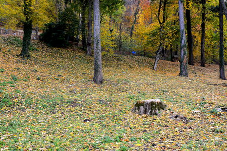 Autumn color in Saint Ana-Rohia Monastery. Typical rural landscape in the forests of Transylvania, Romaniaの写真素材
