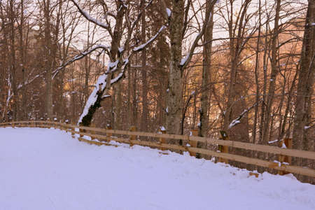 Landscape in Poiana Brasov Road to the winter and touristic station Poiana Brasov, 12 km from Brasov, a town situated in Transylvania, Romania, in the center of the country. 300.000 inhabitants.の写真素材