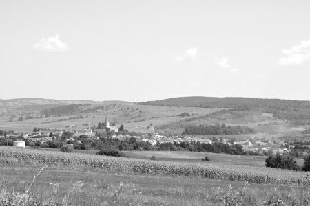Typical rural landscape in the plains of Transylvania, Romania. Green landscape in the midsummer, in a sunny dayの写真素材