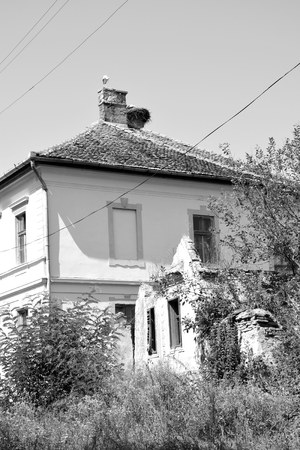 Typical rural landscape and peasant houses in  the village Toarcla, Tartlau, Transylvania, Romaniaの写真素材