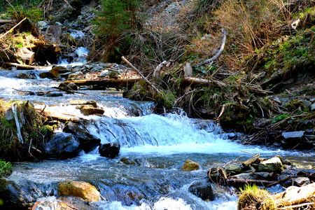 Typical landscape in the forests of Transylvania, Romania. Green landscape in the midsummer, in a sunny dayの写真素材