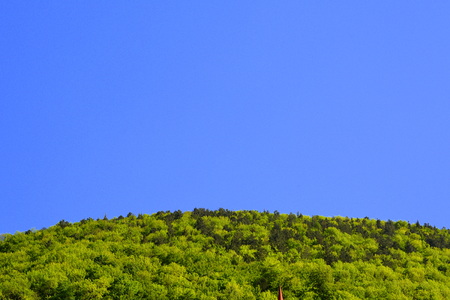 Typical landscape in the forests of Transylvania, Romania. Green landscape in the midsummer, in a sunny dayの写真素材