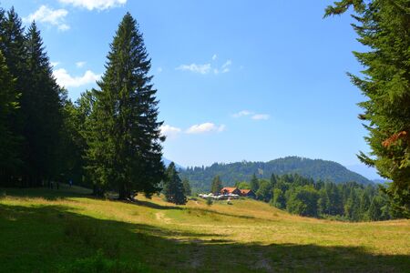 Typical landscape in the forests of Transylvania, Romania. Green landscape in the midsummer, in a sunny dayの写真素材