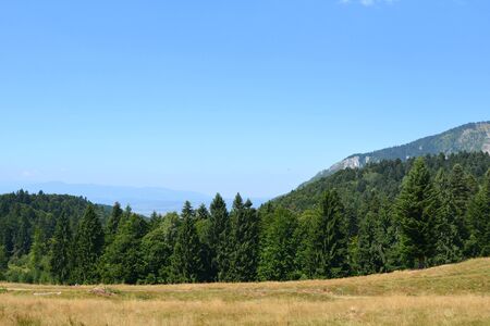 Typical landscape in the forests of Transylvania, Romania. Green landscape in the midsummer, in a sunny dayの写真素材