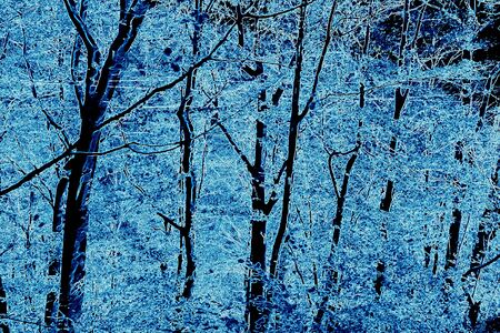 Typical landscape in the forests of Transylvania, Romania. Green landscape in the midsummer, in a sunny dayの写真素材