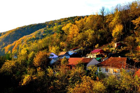 Resita. Typical landscape in the forests of Transylvania, Romania. Green landscape in the midsummer, in a sunny dayの写真素材