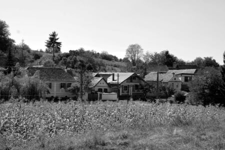 Typical rural landscape and peasant houses in  the village Alma Vii (Almen) Transylvaniaのeditorial素材