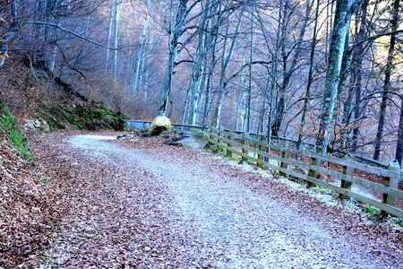 Winter and touristic station Poiana Brasov, 12 km from Brasov, a town situated in Transylvania,...