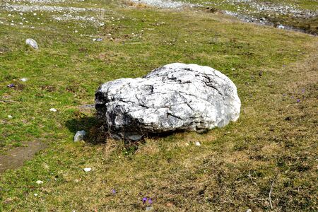 Piatra Craiului in Carpathian Mountains, Transylvania. Typical landscape in the forests of  Romania. Green landscape in spring, in a sunny dayの写真素材