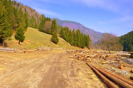Piatra Craiului in Carpathian Mountains, Transylvania. Typical landscape in the forests of  Romania. Green landscape in spring, in a sunny dayの写真素材
