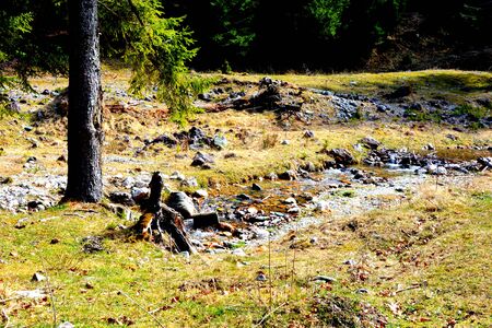 Piatra Craiului in Carpathian Mountains, Transylvania. Typical landscape in the forests of  Romania. Green landscape in spring, in a sunny dayの写真素材