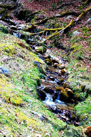 Piatra Craiului in Carpathian Mountains, Transylvania. Typical landscape in the forests of  Romania. Green landscape in spring, in a sunny dayの写真素材