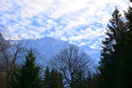 Piatra Craiului in Carpathian Mountains, Transylvania. Typical landscape in the forests of  Romania. Green landscape in spring, in a sunny dayの写真素材