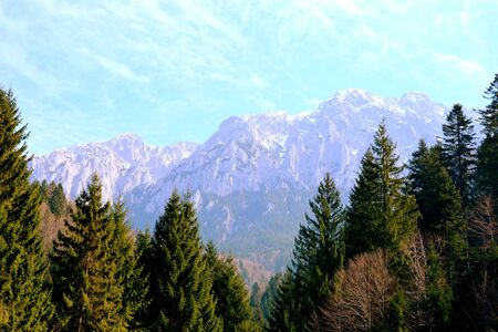 Piatra Craiului in Carpathian Mountains, Transylvania. Typical landscape in the forests of  Romania. Green landscape in spring, in a sunny dayの写真素材
