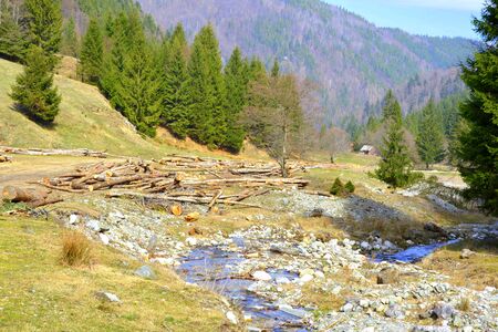 Piatra Craiului in Carpathian Mountains, Transylvania. Typical landscape in the forests of  Romania. Green landscape in spring, in a sunny dayの写真素材