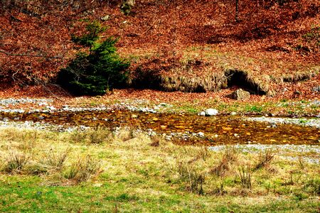 Bourne in Piatra Craiului in Carpathian Mountains, Transylvania. Typical landscape in the forests of  Romania. Green landscape in spring, in a sunny dayの写真素材