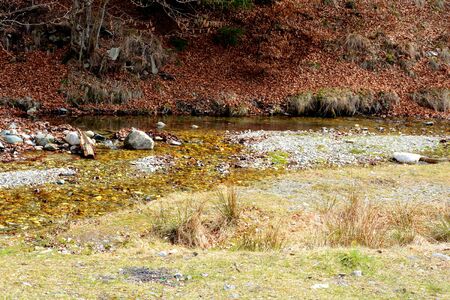 Piatra Craiului in Carpathian Mountains, Transylvania. Typical landscape in the forests of  Romania. Green landscape in spring, in a sunny dayの写真素材