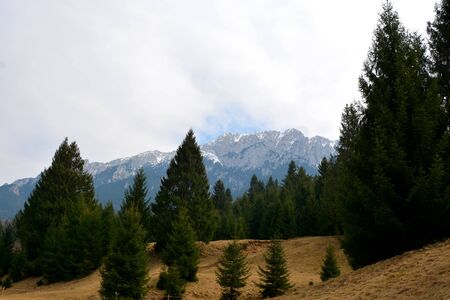 Piatra Craiului in Carpathian Mountains, Transylvania. Typical landscape in the forests of  Romania. Green landscape in spring, in a sunny dayの写真素材
