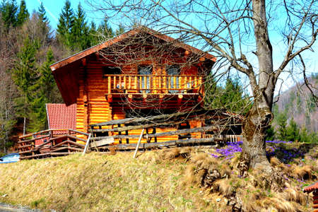 Chalet. Piatra Craiului in Carpathian Mountains, Transylvania. Typical landscape in the forests of  Romania. Green landscape in spring, in a sunny dayのeditorial素材