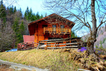 Chalet in Piatra Craiului in Carpathian Mountains, Transylvania. Typical landscape in the forests of  Romania. Green landscape in spring, in a sunny dayのeditorial素材
