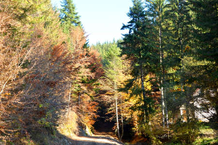 Autumn in the swiss alps (Schweiz)の写真素材
