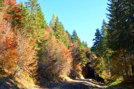 Autumn in Ordesa and Monte Perdido National Park, Huesca, Aragon, Spain.の写真素材