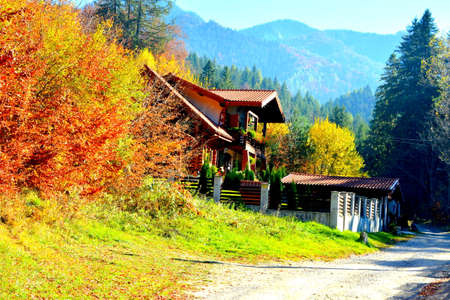 Autumn in the swiss alps (Schweiz)の写真素材