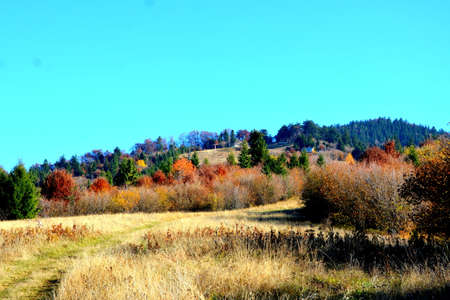Autumn in the swiss alps (Schweiz)の写真素材
