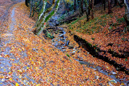 Autumn in Ordesa and Monte Perdido National Park, Spainの写真素材
