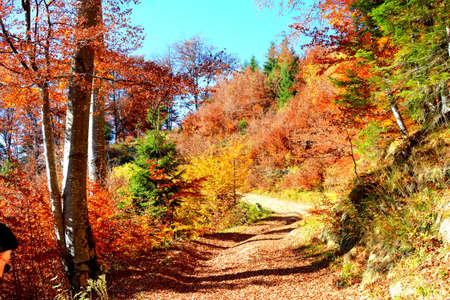 Autumn in Ordesa and Monte Perdido National Park, Spainの写真素材