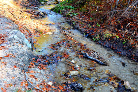 Mountain stream in the autumn forest. Selective focus. Nature.の写真素材