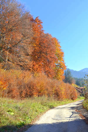 Autumnal alpine landscape along the road to Oberstdorf in Bavaria, Germanyの写真素材