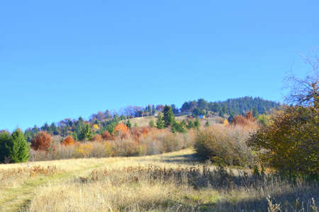 Autumn landscape with colorful forest on hillside and clear blue skyの写真素材