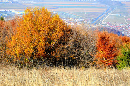 Autumn landscape with colorful trees on the hillside and city in the distanceの写真素材