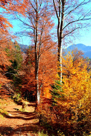 Autumn in the Ordesa and Monte Perdido National Park, Spainの写真素材