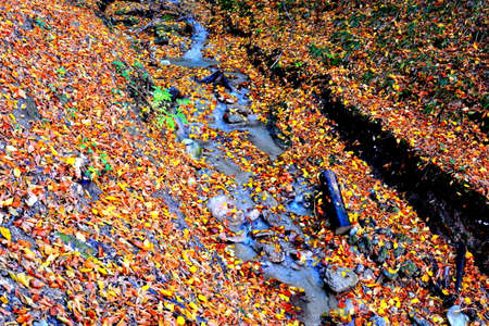 Autumn leaves on the mountain river. Beautiful autumn landscape in the mountains.の写真素材