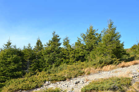 Landscape of Vitosha Mountain, Sofia City Region, Bulgariaの写真素材