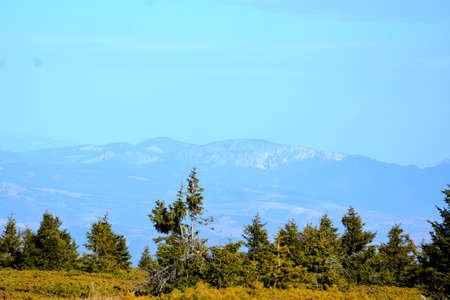 Mountains and coniferous forest on a sunny autumn day.の写真素材